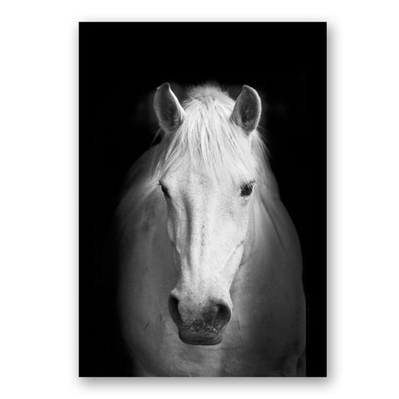 Natur Wildtiere Afrika Wildtiere Schwarz Weiß - Leinwand Wandkunst Malerei