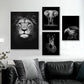 Natur Wildtiere Afrika Wildtiere Schwarz Weiß - Leinwand Wandkunst Malerei