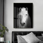Natur Wildtiere Afrika Wildtiere Schwarz Weiß - Leinwand Wandkunst Malerei