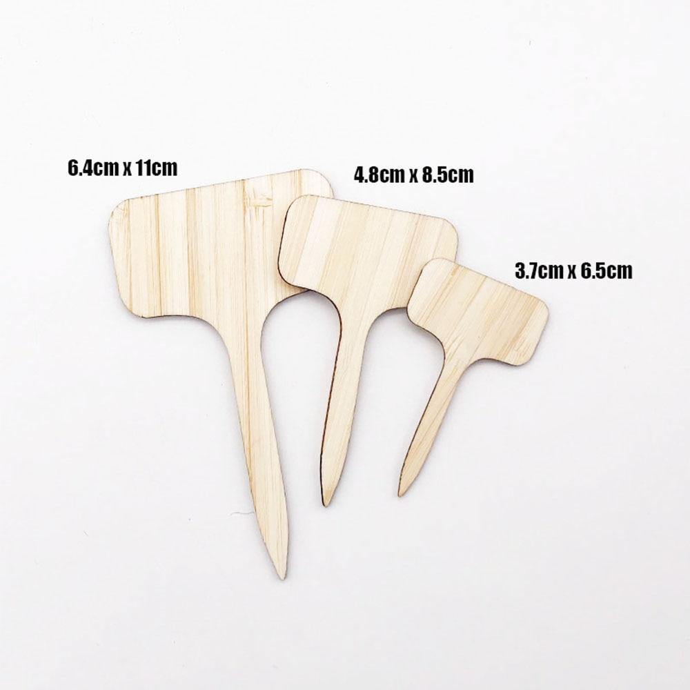Frendorf | GreenLabel Holz Pflanzenschilder | Umweltfreundlich | Perfekt für Garten & Balkon | Markierungsschilder für Pflanzen