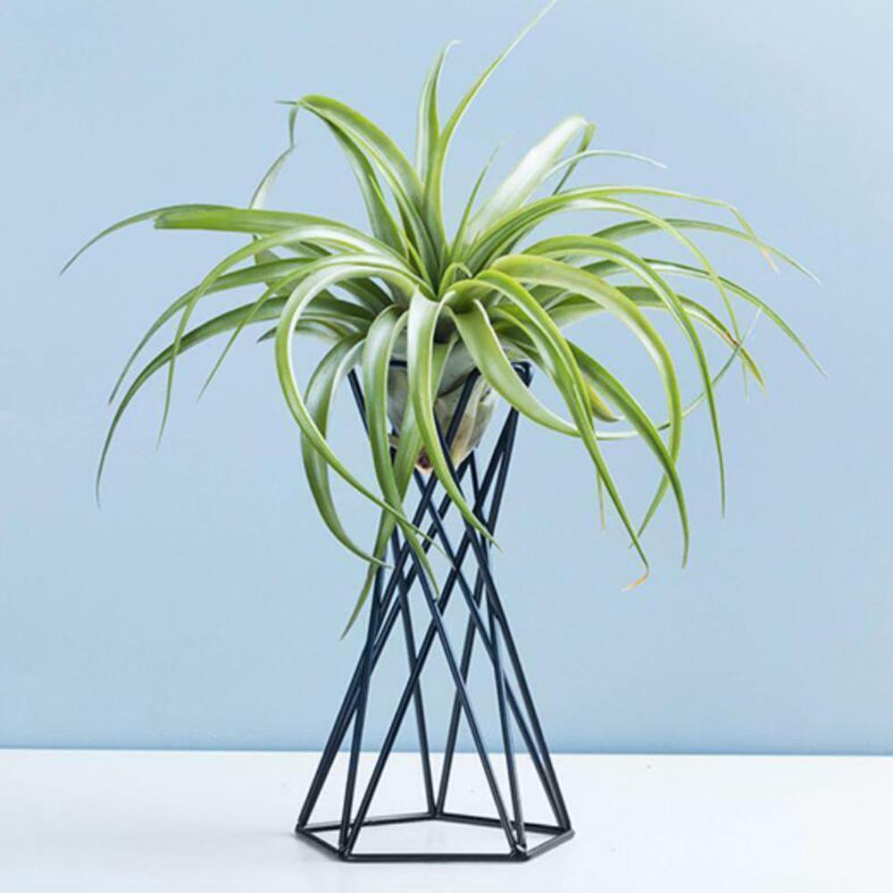Frendorf | GeoTwist Metall Air Pflanzenhalter | Modernes Design | Geometrische Deko