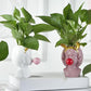 Frendorf | BloomMuse – Elegante Pflanzenbox für das Gesicht mit künstlerischem Flair