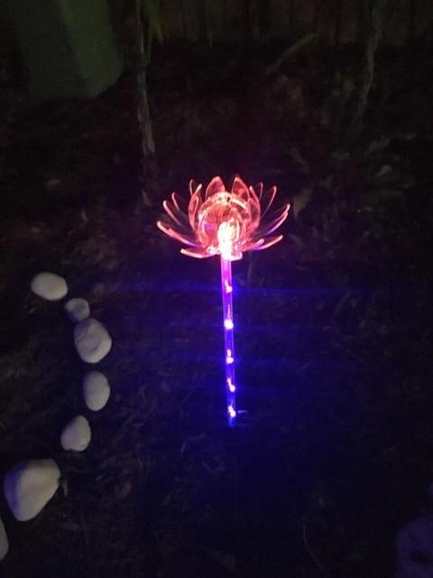 Frendorf | Blumenia Solar LED Gartenleuchten | Wetterfest | Solarbetrieben | Dekorative Beleuchtung für Außenbereiche