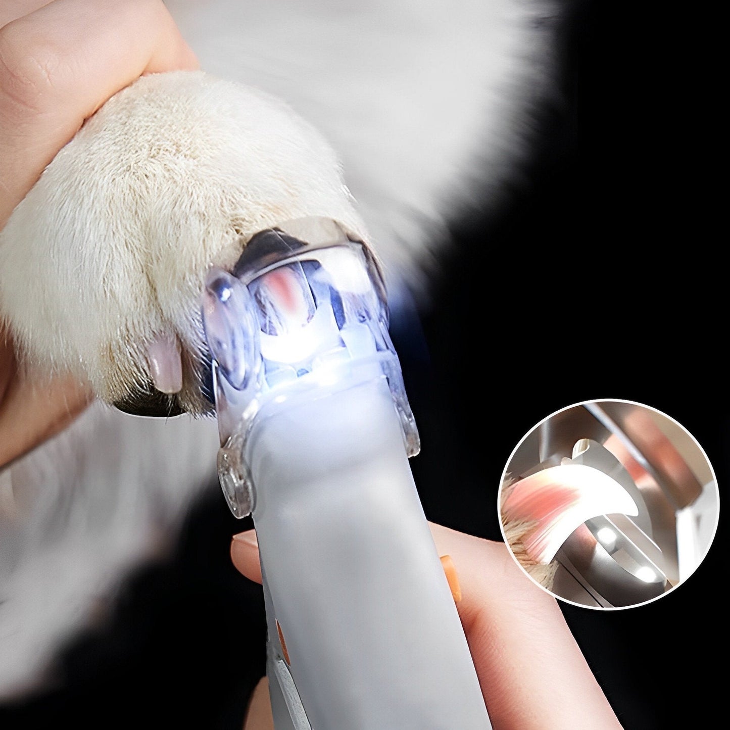 Frendorf | Nagelknipser für Hunde | Sicherer Zehennagelschneider