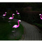 Frendorf | FlamiGlow Solar Gartenlampe | Solarbetriebene Flamingo-Deko | Wetterfeste Außenbeleuchtung für Garten & Terrasse