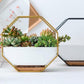 Frendorf | GeoFrame Keramik Wandpflanztopf mit Metallrahmen | Octagon Design