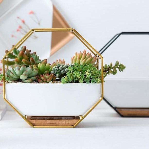 Frendorf | GeoFrame Keramik Wandpflanztopf mit Metallrahmen | Octagon Design