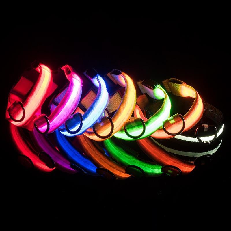 LED Hundehalsband