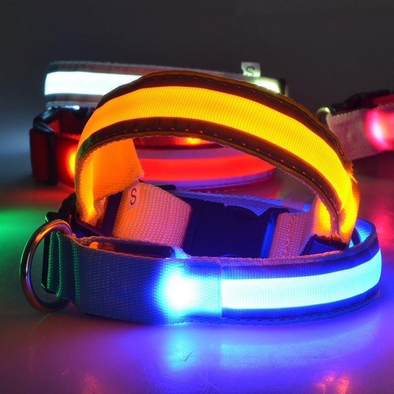 LED Hundehalsband