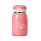 Tragbarer Thermo Beg (6 Farben)