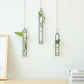 Frendorf | FloatTerrarium Hängendes Glas-Terrarium | Eisenhalterung | Modernes Design | Perfekt für Pflanzenvermehrung & Dekoration