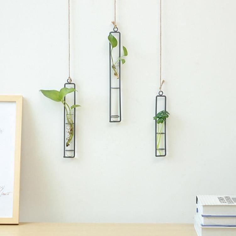 Frendorf | FloatTerrarium Hängendes Glas-Terrarium | Eisenhalterung | Modernes Design | Perfekt für Pflanzenvermehrung & Dekoration
