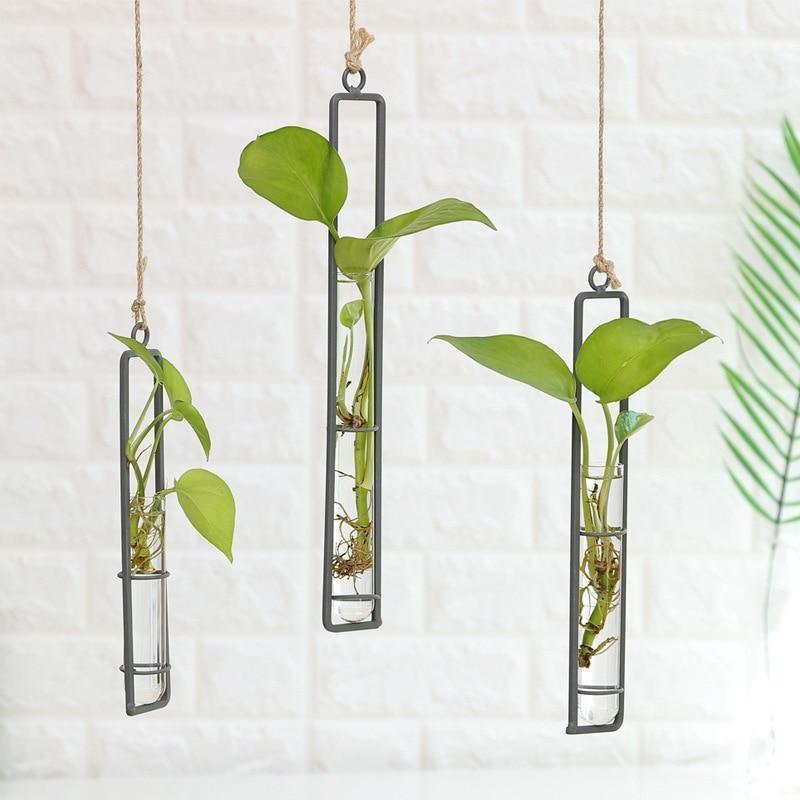 Frendorf | FloatTerrarium Hängendes Glas-Terrarium | Eisenhalterung | Modernes Design | Perfekt für Pflanzenvermehrung & Dekoration