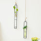 Frendorf | FloatTerrarium Hängendes Glas-Terrarium | Eisenhalterung | Modernes Design | Perfekt für Pflanzenvermehrung & Dekoration
