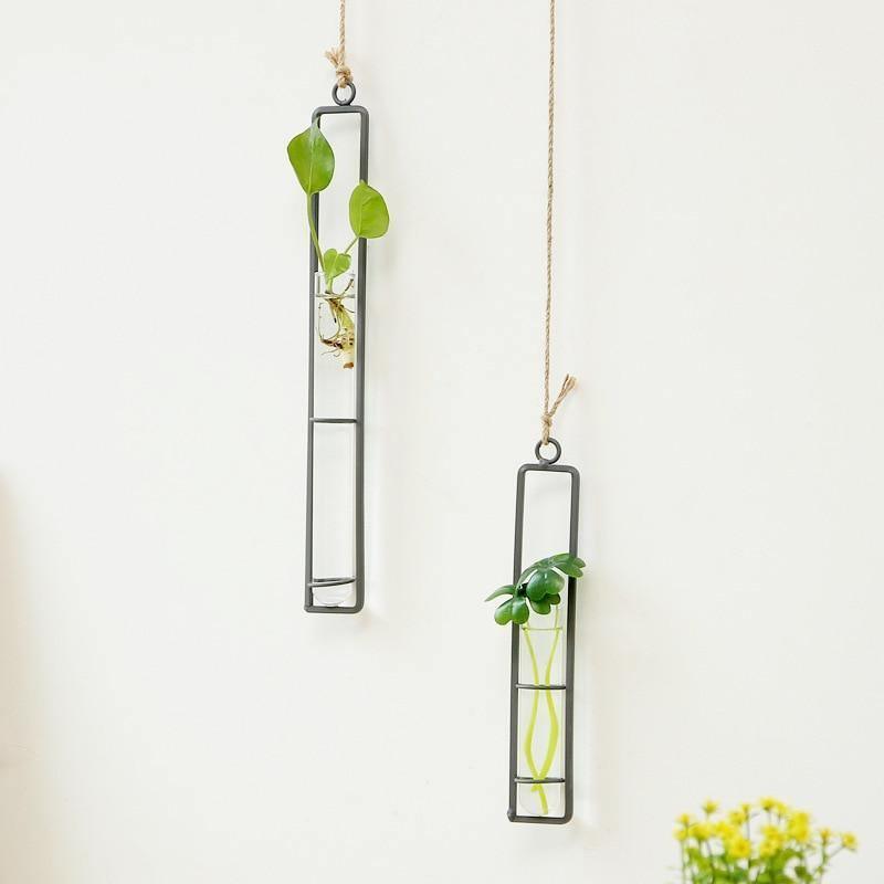 Frendorf | FloatTerrarium Hängendes Glas-Terrarium | Eisenhalterung | Modernes Design | Perfekt für Pflanzenvermehrung & Dekoration