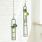 Frendorf | FloatTerrarium Hängendes Glas-Terrarium | Eisenhalterung | Modernes Design | Perfekt für Pflanzenvermehrung & Dekoration