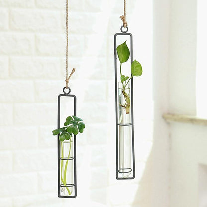 Frendorf | FloatTerrarium Hängendes Glas-Terrarium | Eisenhalterung | Modernes Design | Perfekt für Pflanzenvermehrung & Dekoration