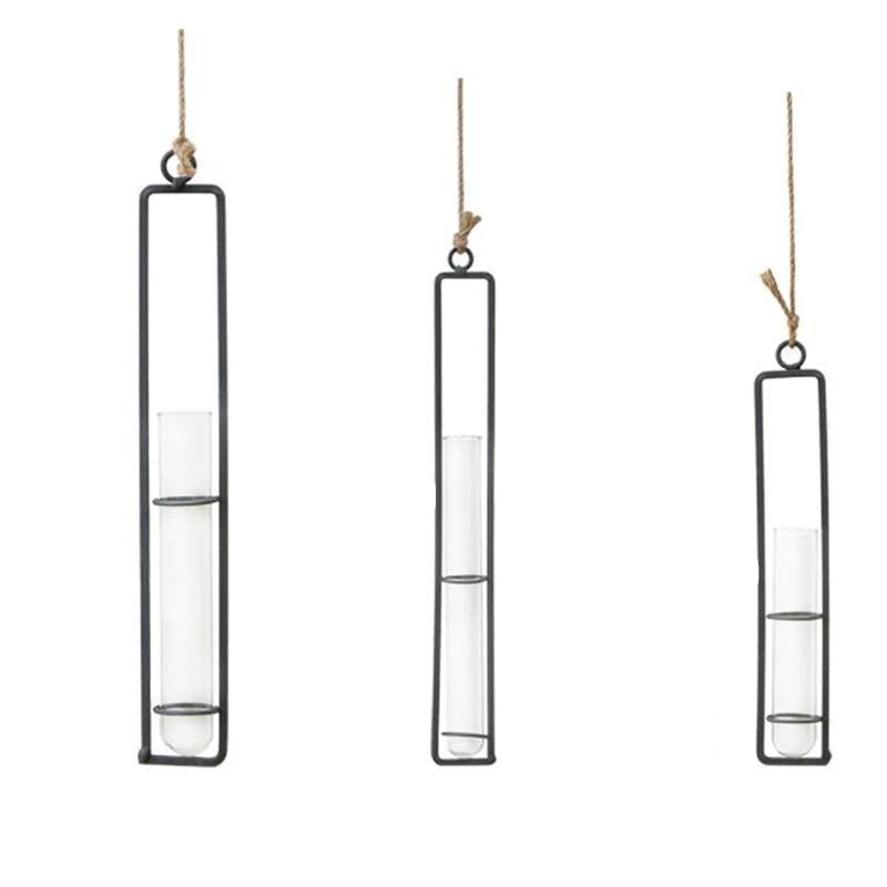 Frendorf | FloatTerrarium Hängendes Glas-Terrarium | Eisenhalterung | Modernes Design | Perfekt für Pflanzenvermehrung & Dekoration