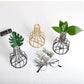 Frendorf | VaseTech Testrohr-Vase mit Metallständer | Modernes Design | Minimalistische Dekoration für Zuhause & Büro