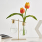 Frendorf | BloomBulb Pflanzenvermehrungs Vase | Zeitloses Design | Deko für Zuhause & Büro | Einzel & Doppel
