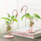 Frendorf | FlamigoBloom Tropische Deko-Vase | Zimmerpflanzengefäß | Stilvolle Glasvase mit Flamingo-Design