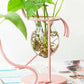Frendorf | FlamigoBloom Tropische Deko-Vase | Zimmerpflanzengefäß | Stilvolle Glasvase mit Flamingo-Design