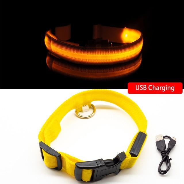 LED Hundehalsband