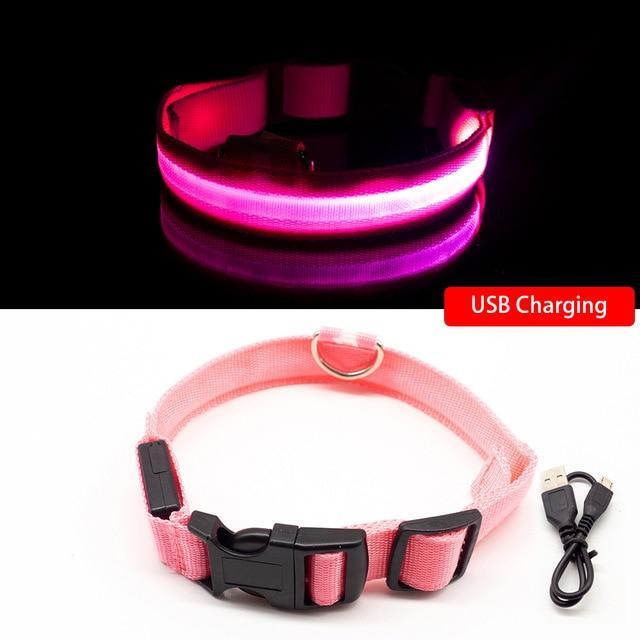LED Hundehalsband