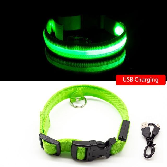 LED Hundehalsband