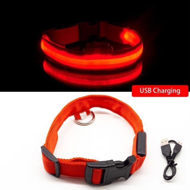 LED Hundehalsband