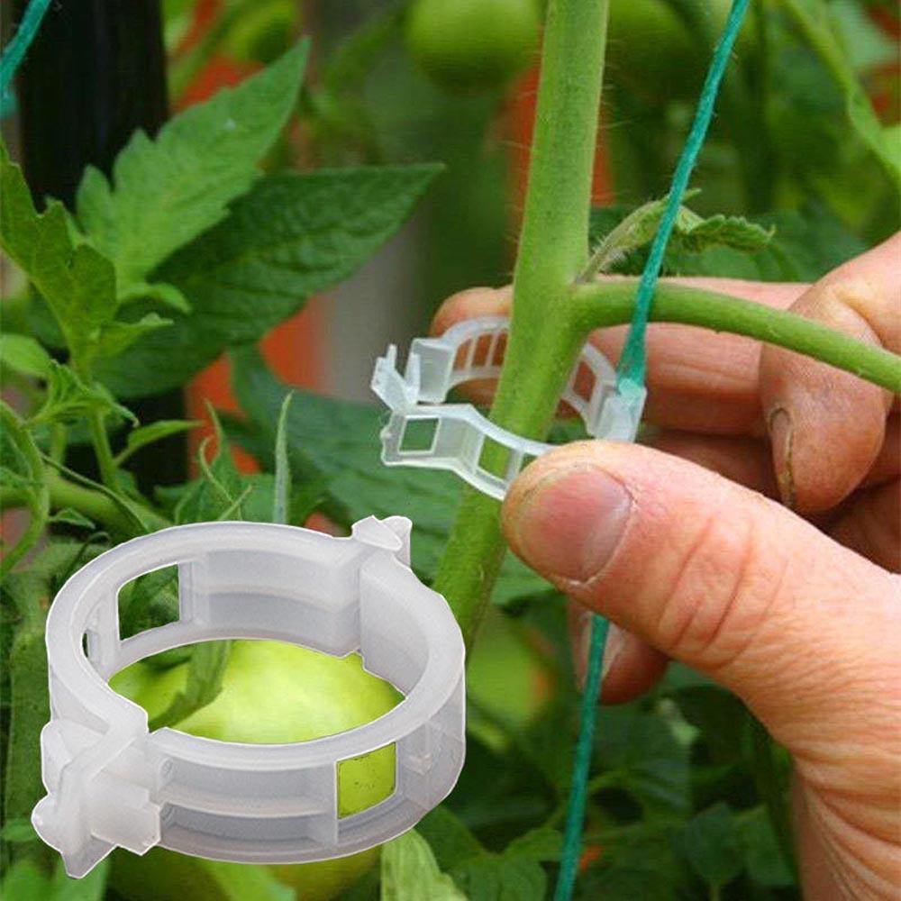 Frendorf | PlantFix Pflanzenhalter Clip Set | Stabilität für Pflanzenstiele | Einfache Befestigung | Unterstützung für gesundes Wachstum