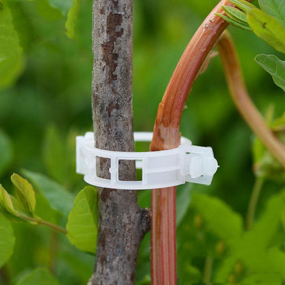 Frendorf | PlantFix Pflanzenhalter Clip Set | Stabilität für Pflanzenstiele | Einfache Befestigung | Unterstützung für gesundes Wachstum