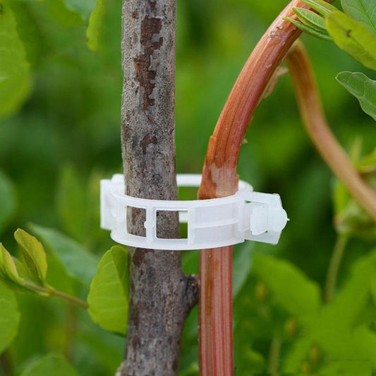 Frendorf | PlantFix Pflanzenhalter Clip Set | Stabilität für Pflanzenstiele | Einfache Befestigung | Unterstützung für gesundes Wachstum