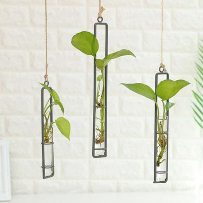 Die Botanische Alchemist Knospenvase