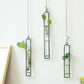 Die Botanische Alchemist Knospenvase
