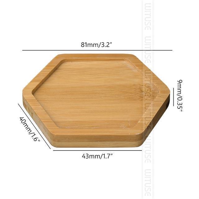 Frendorf | EcoTray Bambus Untersetzer für Blumentöpfe | Natürliche Pflanzenunterlagen in Verschiedenen Formen & Größen