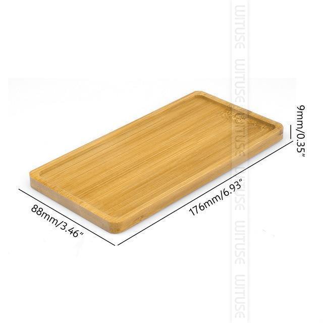 Frendorf | EcoTray Bambus Untersetzer für Blumentöpfe | Natürliche Pflanzenunterlagen in Verschiedenen Formen & Größen