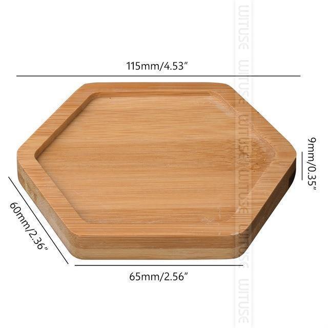 Frendorf | EcoTray Bambus Untersetzer für Blumentöpfe | Natürliche Pflanzenunterlagen in Verschiedenen Formen & Größen
