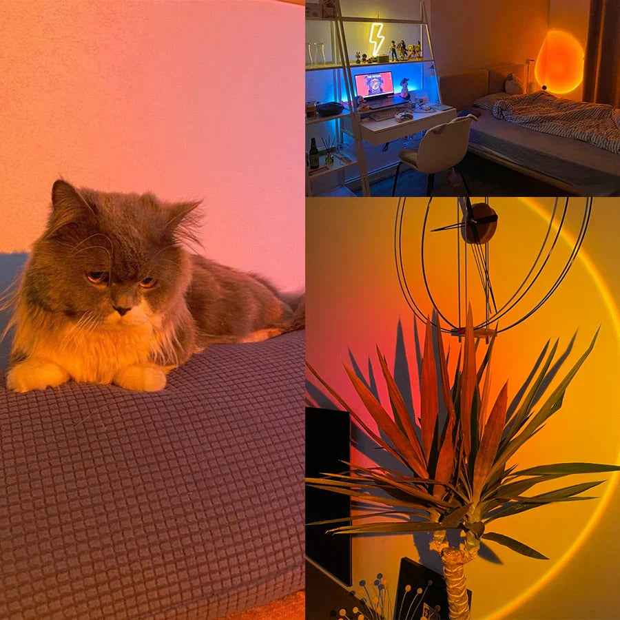 Frendorf | Sunset Lampe mit 4 Farben - GlowSphere