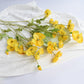 Frendorf | BloomCharm Künstliche Blumen Deko | Realistische Mohnblumen | Verschiedene Farben & Größen