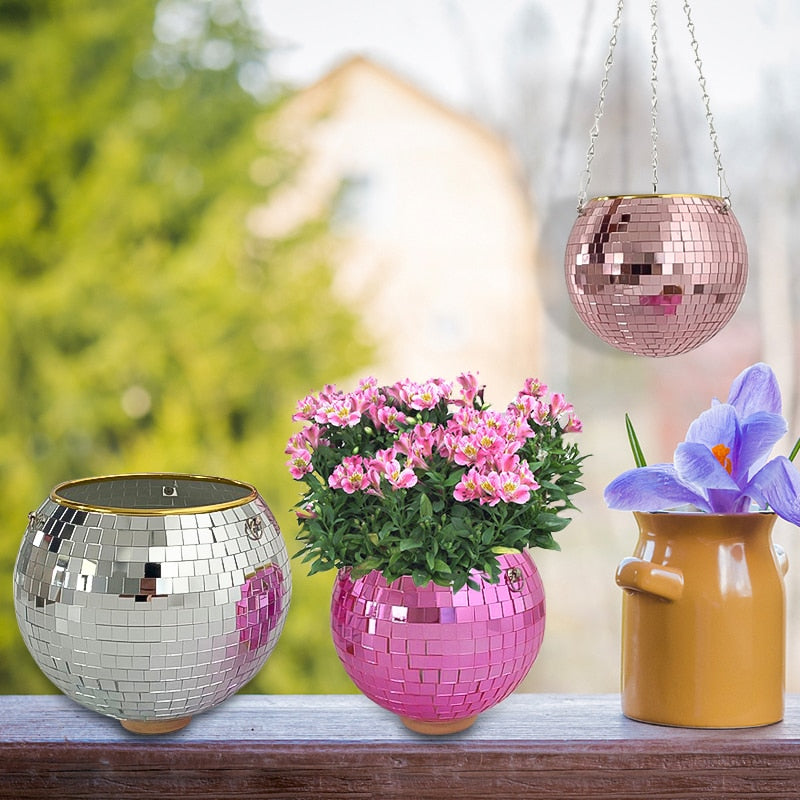Disco Ball Pflanze