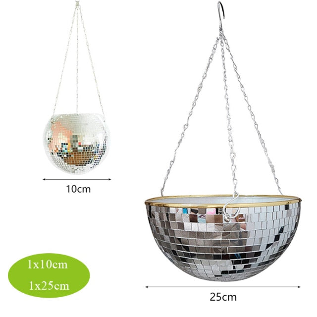 Disco Ball Pflanze