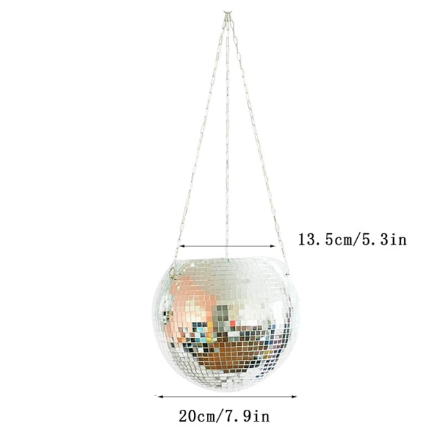 Disco Ball Pflanze