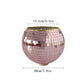 Disco Ball Pflanze