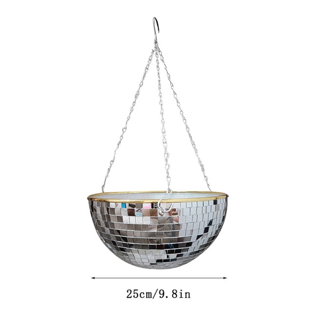 Disco Ball Pflanze