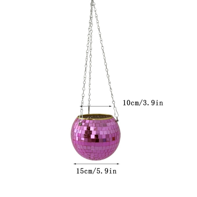 Disco Ball Pflanze