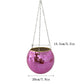 Disco Ball Pflanze