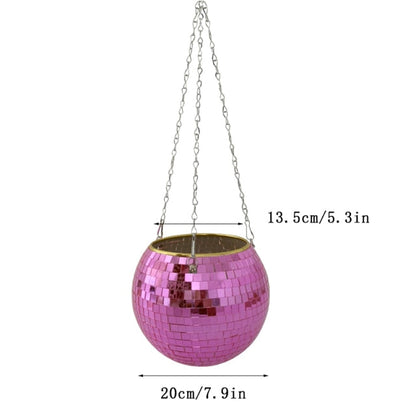 Disco Ball Pflanze