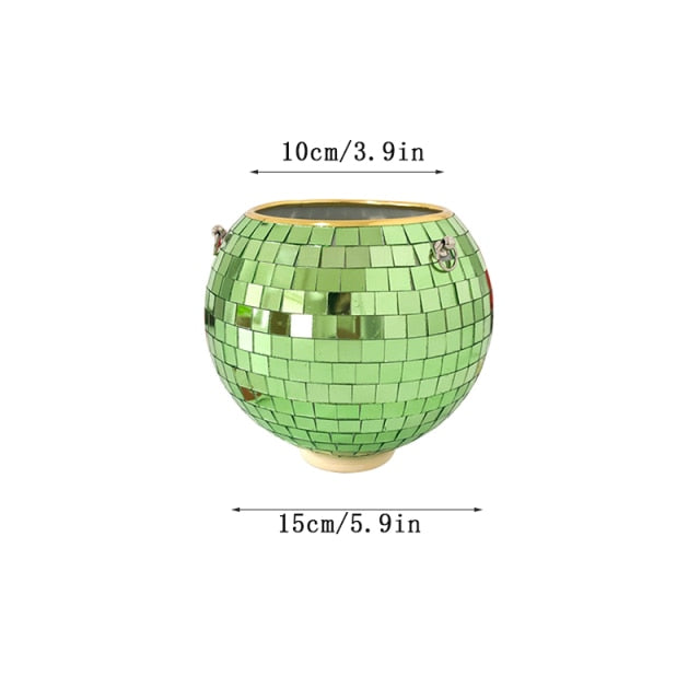 Disco Ball Pflanze