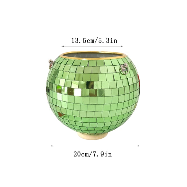 Disco Ball Pflanze